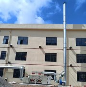 福建福松新材料油漆生产废气沸石